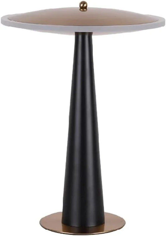 Audara-Modern Creative Metal Acrylic Desk Light Fashion Luxury LED Study Office Desk Lamp Living Room Bedroom Table Lamp Restaurant B&B Coffee Shop Hotel Front Desk Lighting Fixture