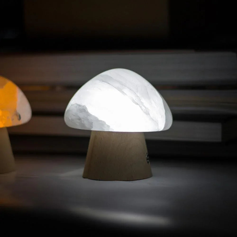 Audara-Creative Warm Bedroom Bedside Children's Room Desk Light Cute Ambiance Rechargeable Touch Switch Mushroom Stone Desk Lamp Dormitory Dining Room Decoration Table Lamp Villa Lighting Fixture