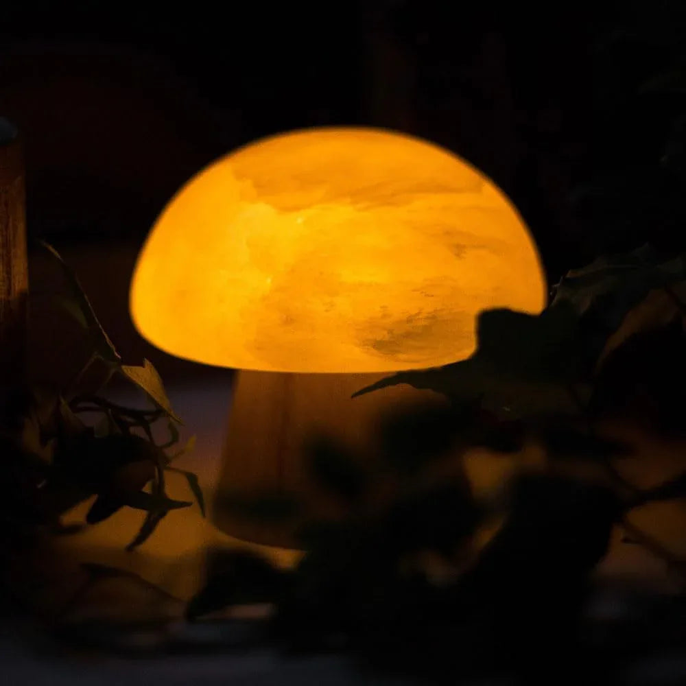 Audara-Creative Warm Bedroom Bedside Children's Room Desk Light Cute Ambiance Rechargeable Touch Switch Mushroom Stone Desk Lamp Dormitory Dining Room Decoration Table Lamp Villa Lighting Fixture