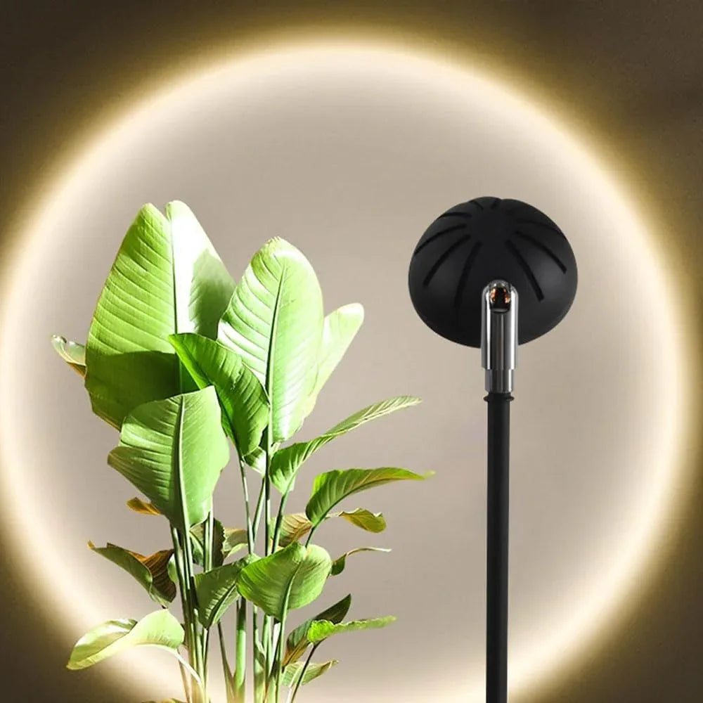 Audara-Remote Control Dimming COB LED Floor Lamp 16W Height Adjustable Black Metal Standing Lamp Creative Atmosphere Living Room Study Decoration Torchiere Flower Shop Showroom Lighting Fixture