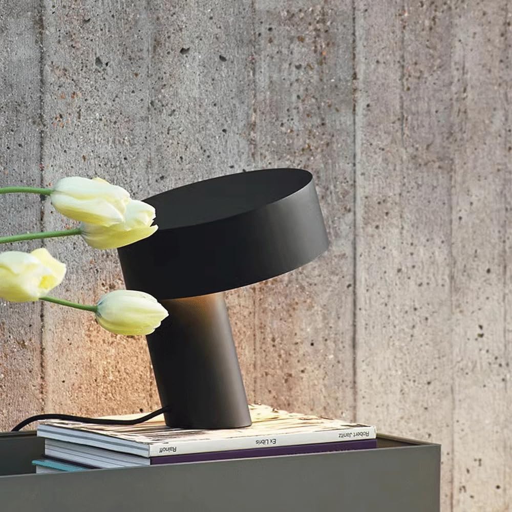 Audara-Scandinavian Creative Designer Model House Desk Light High-end Modern Acrylic Aluminium Desk Lamp Office Study Room Showcase Table Lamp Mall Villa Club Decoration Lighting Fixture