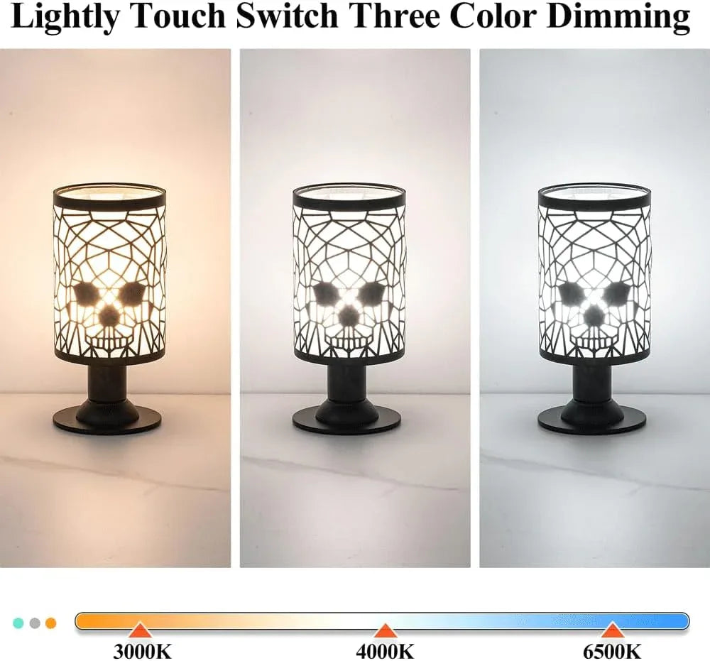 Audara-High-end Warm Study Room Office Dormitory Desk Light Modern USB Plug Black Metal Desk Lamp Fashion Living Room Bedroom Table Lamp Restaurant Coffee Shop Hotel Front Desk Lighting Fixture
